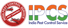 India Pest Control Service